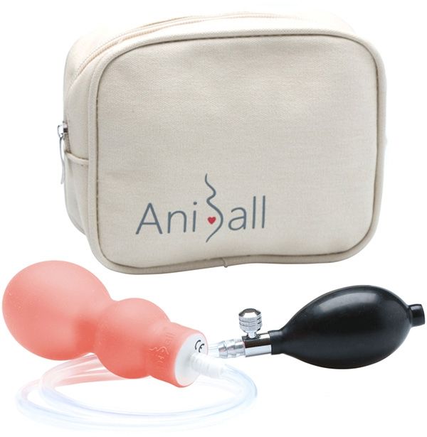 Aniball Geburtstrainer